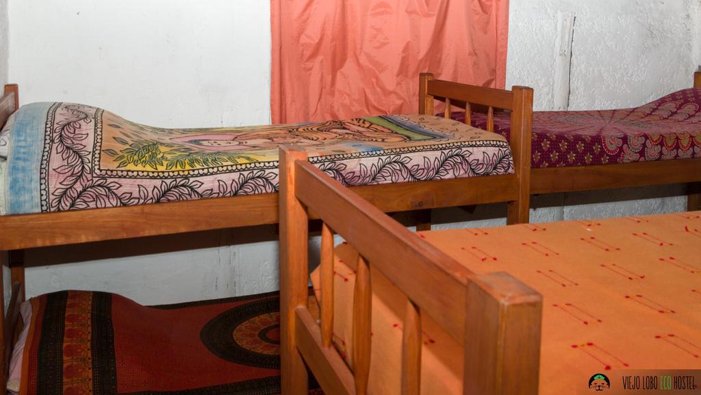 Auberge de jeunesse Viejo Lobo à Cabo Polonio Chambre photo