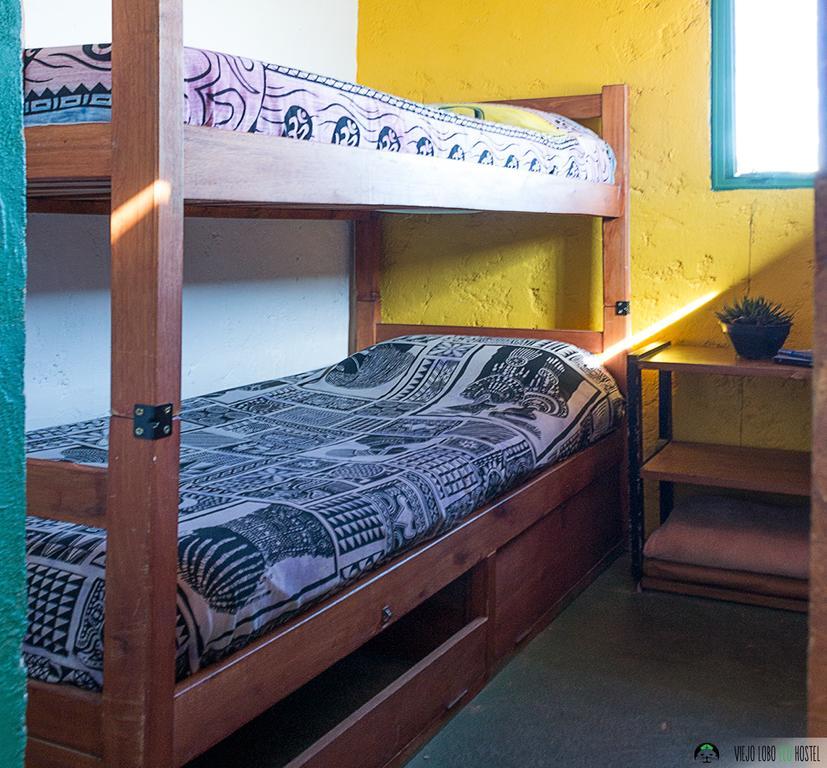 Auberge de jeunesse Viejo Lobo à Cabo Polonio Chambre photo