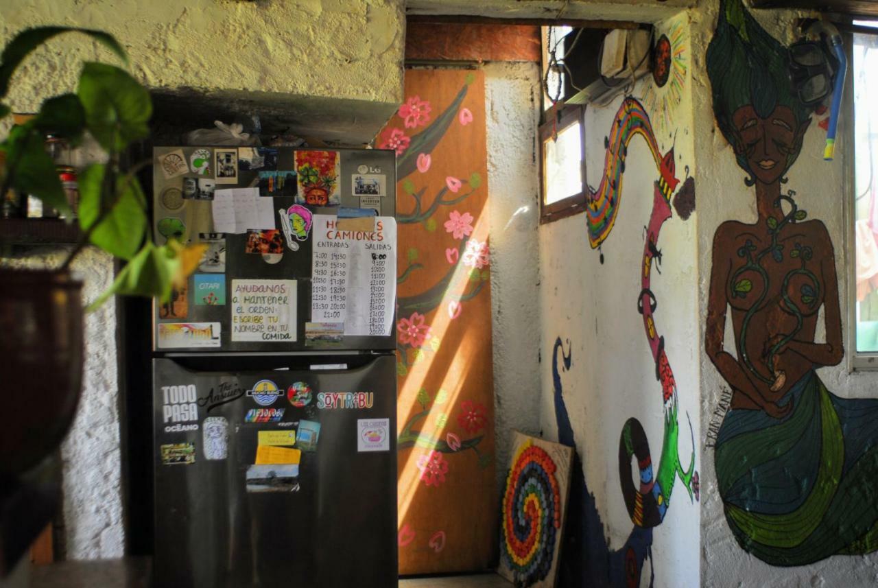 Auberge de jeunesse Viejo Lobo à Cabo Polonio Extérieur photo